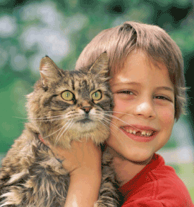 Caring For Pets Teaches Children Responsibility